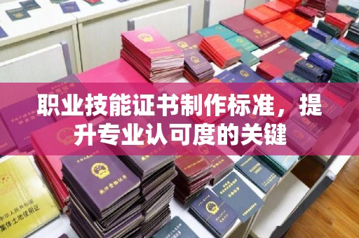 驻马店职业技能证书制作标准，提升专业认可度的关键