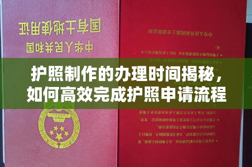 驻马店护照制作的办理时间揭秘，如何高效完成护照申请流程