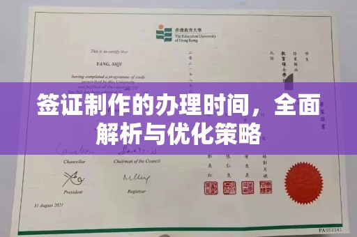 驻马店签证制作的办理时间，全面解析与优化策略