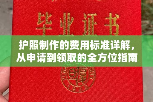 驻马店护照制作的费用标准详解，从申请到领取的全方位指南