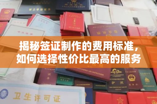 驻马店揭秘签证制作的费用标准，如何选择性价比最高的服务？