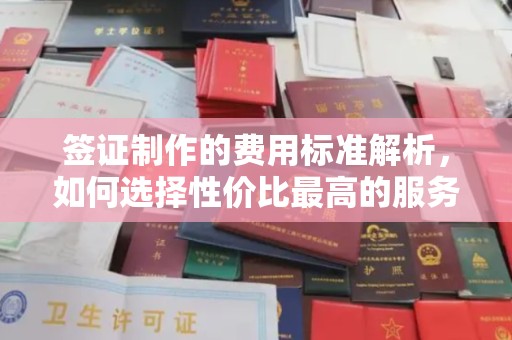 驻马店签证制作的费用标准解析，如何选择性价比最高的服务