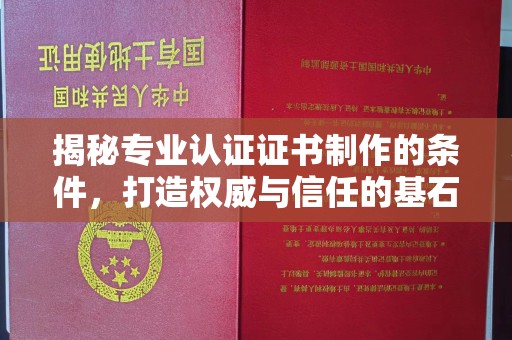 驻马店揭秘专业认证证书制作的条件，打造权威与信任的基石