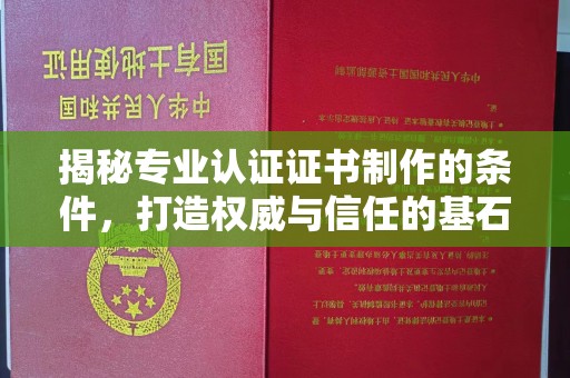 驻马店揭秘专业认证证书制作的条件，打造权威与信任的基石
